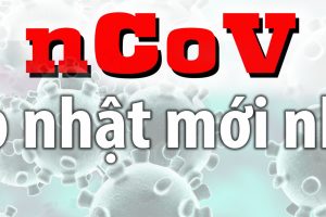 Công tác phòng, chống dịch bệnh viêm đường hô hấp cấp do chủng mới của vi rút Corona (nCoV)